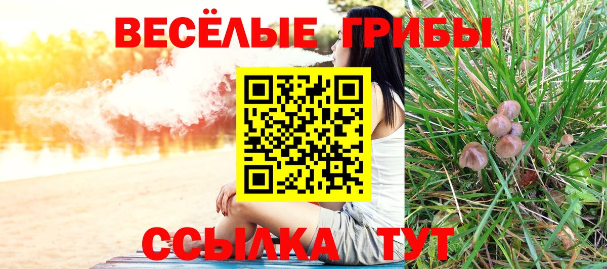 Галлюциногенные грибы Psilocybe  Вход с VPN  Рубцовск 