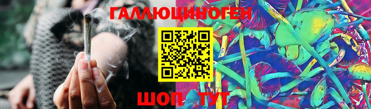 Псилоцибиновые грибы MAGIC MUSHROOMS Рубцовск